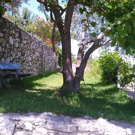 Pansion Laertes * Tsoukaládhes